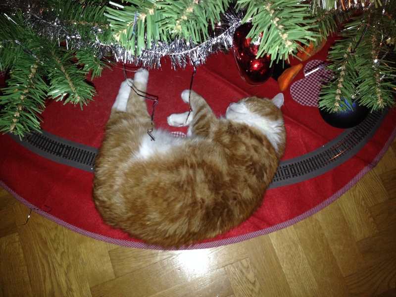 Julkatt2013.JPG