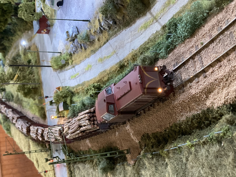 IMG_2591.jpeg