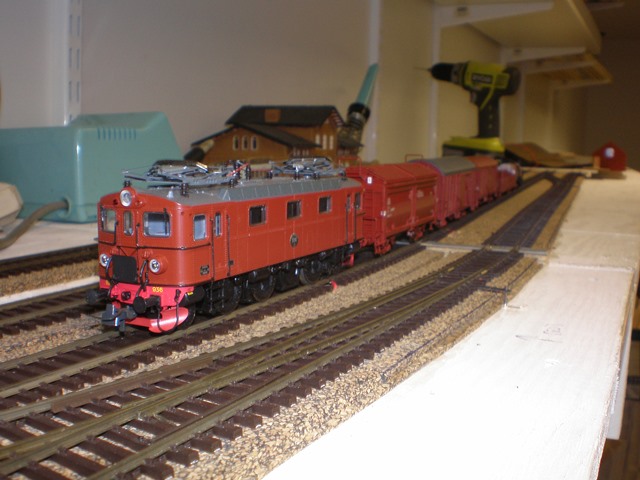P1010002.JPG