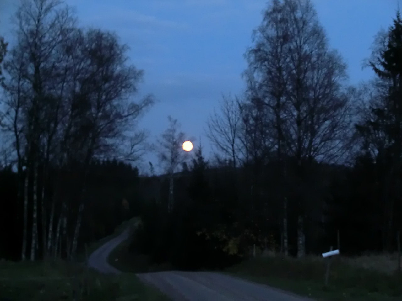 Månen lyste klar och rund och grann över Hagalund!