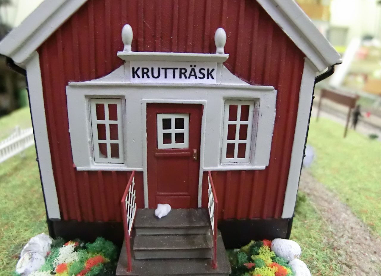 Nydöpta &quot;Krutträsk&quot;, med Curtans vita favoritkatt &quot;Krutte&quot;!