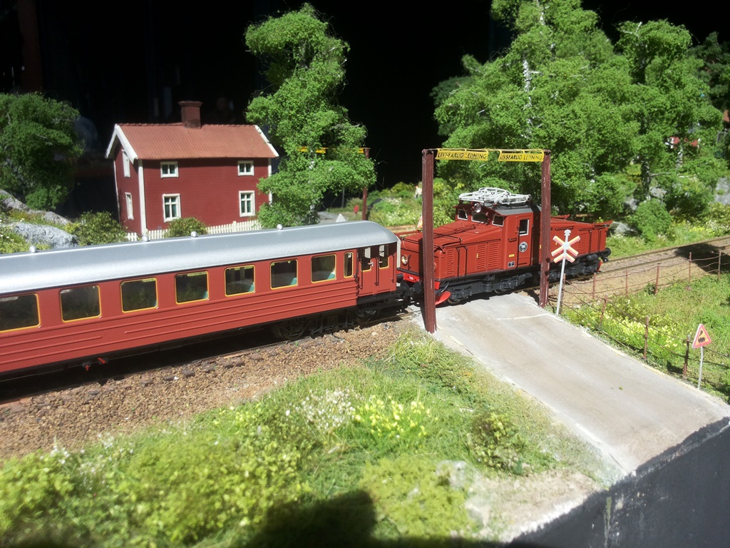20150502_142159.jpg