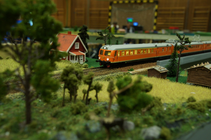 DSC06800s.JPG