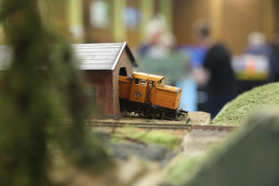 ED4A6738.JPG