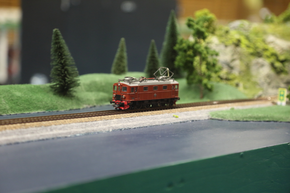 ED4A6749.JPG