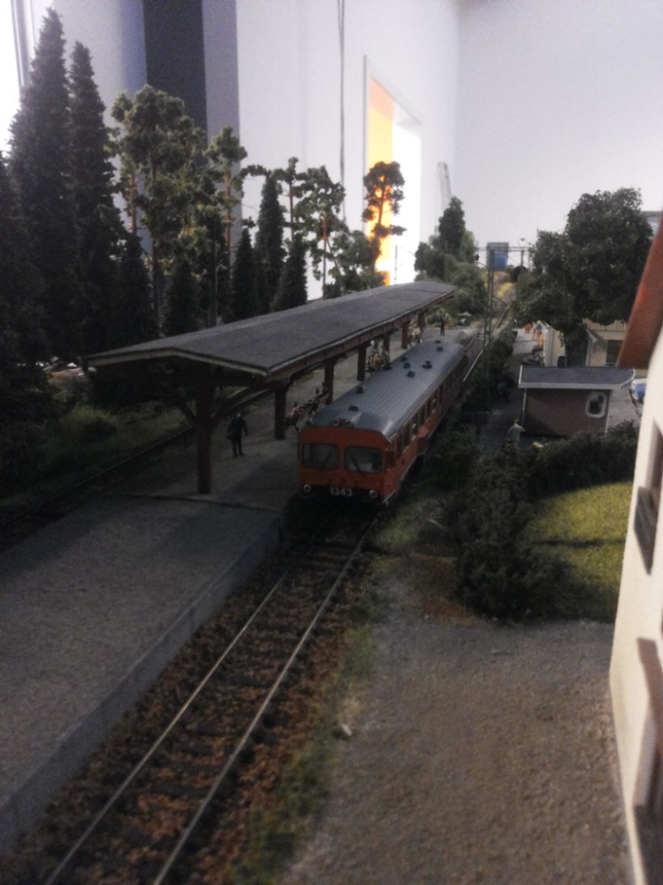 20160928_171223.jpg