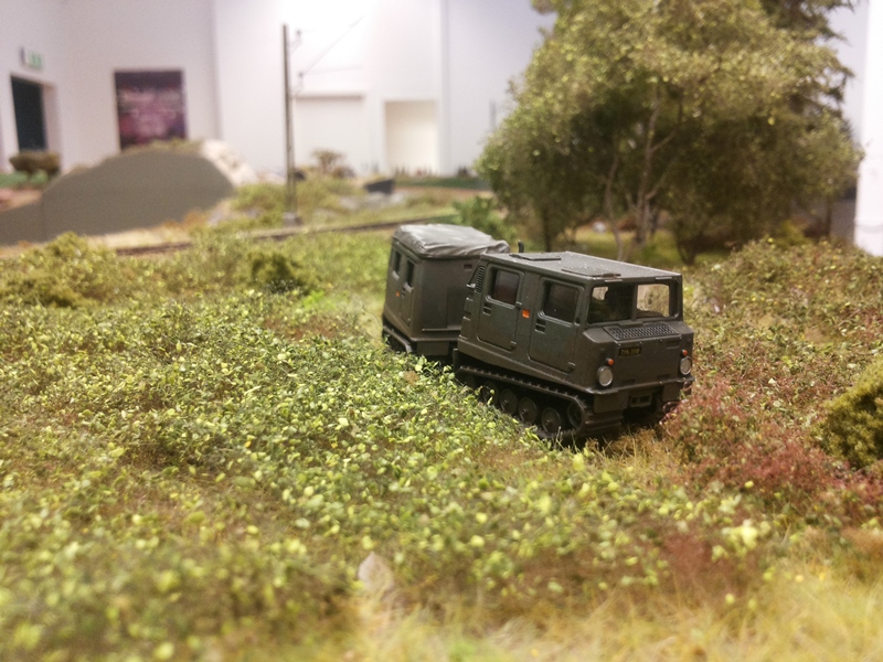 Bv 206