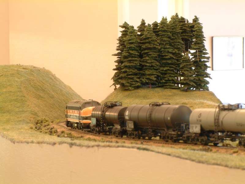 0101010012-800.jpg