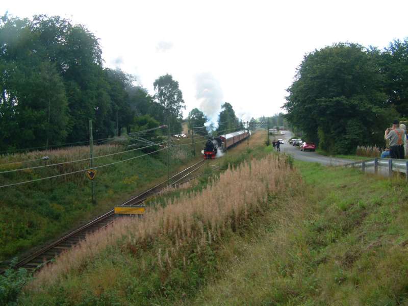 0101010018-800.jpg