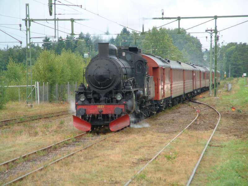 0101010006-800.jpg